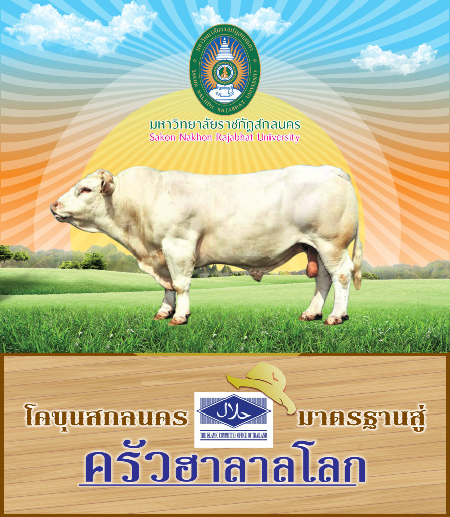 My Image 21